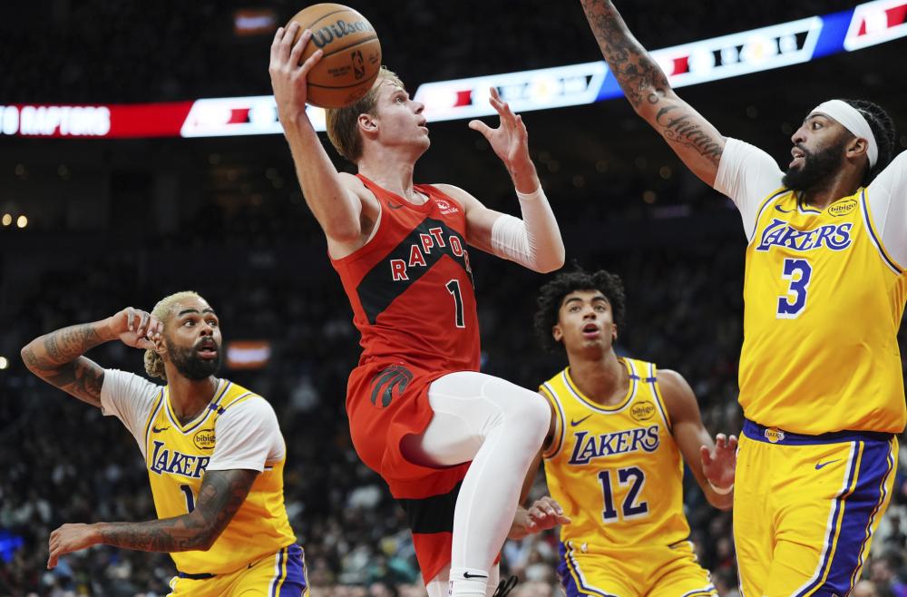 来奠定了坚 来奠定了坚